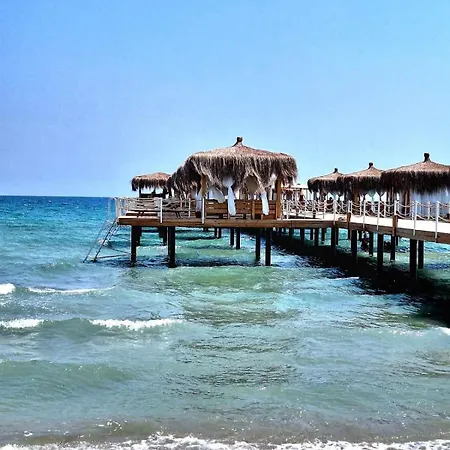 Sunrise Club * Gastria