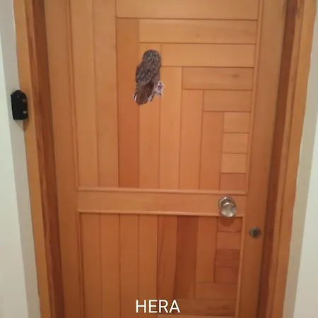 Sunrise Club Gastria