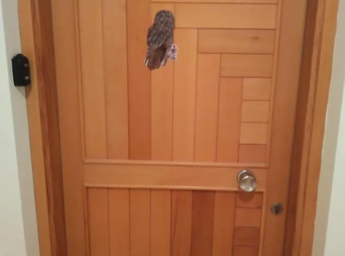 Sunrise Club Gastria